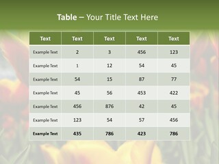 Rays Day Postcard PowerPoint Template