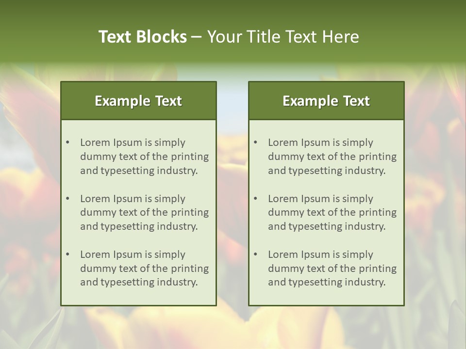 Rays Day Postcard PowerPoint Template