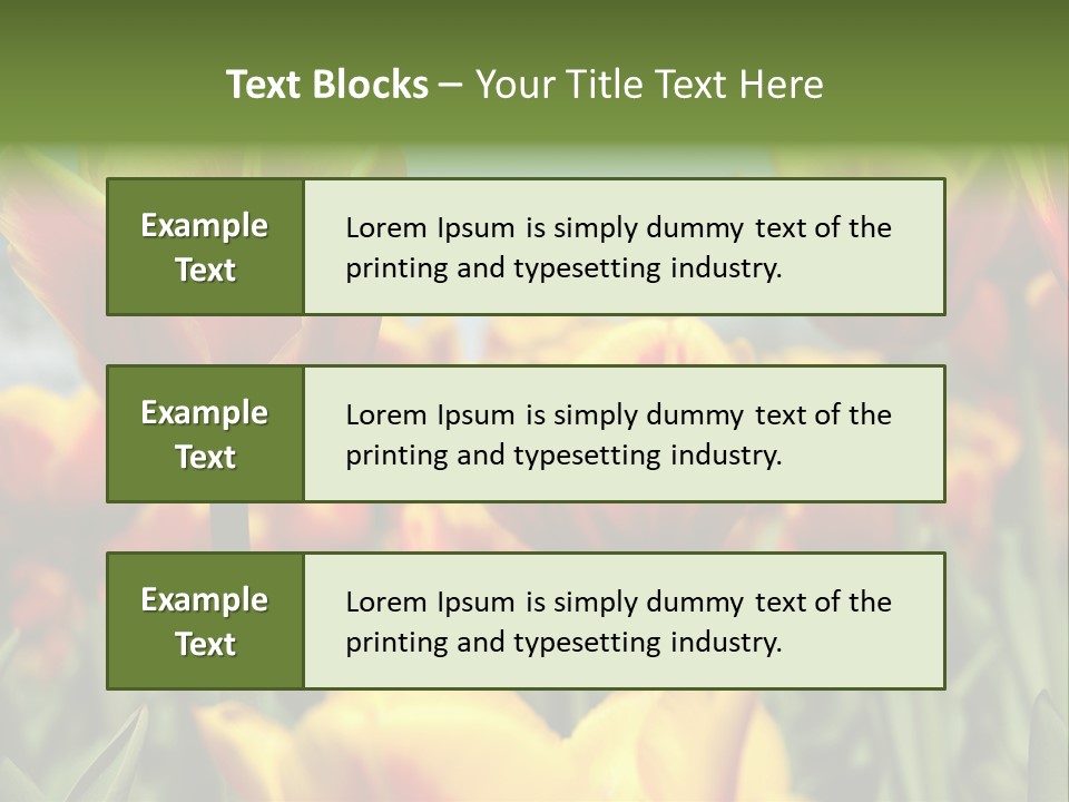 Rays Day Postcard PowerPoint Template