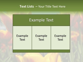 Rays Day Postcard PowerPoint Template