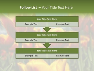 Rays Day Postcard PowerPoint Template