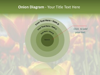 Rays Day Postcard PowerPoint Template