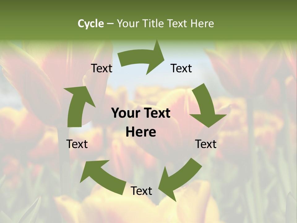 Rays Day Postcard PowerPoint Template