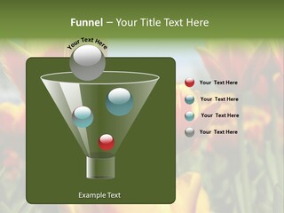 Rays Day Postcard PowerPoint Template