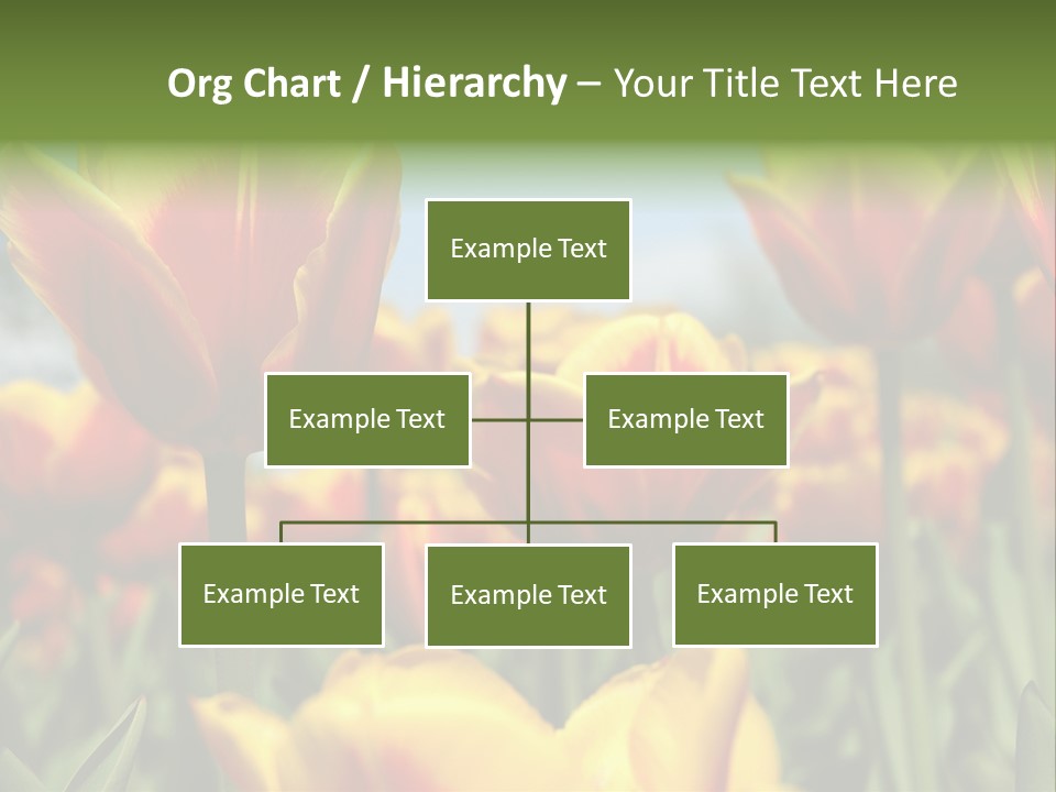 Rays Day Postcard PowerPoint Template