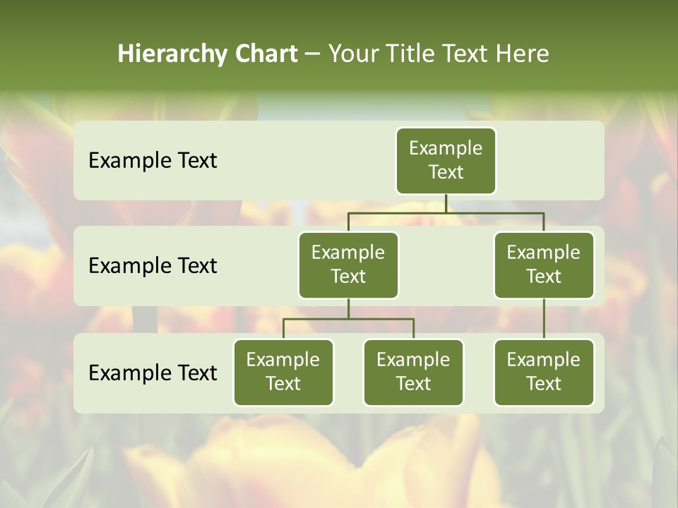 Rays Day Postcard PowerPoint Template