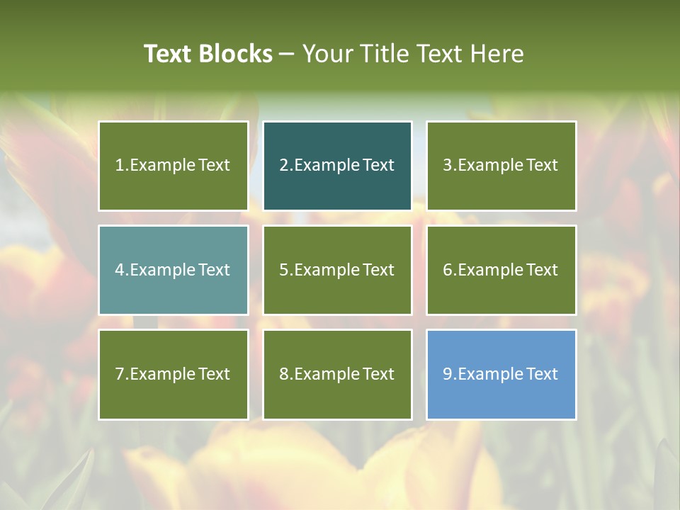 Rays Day Postcard PowerPoint Template