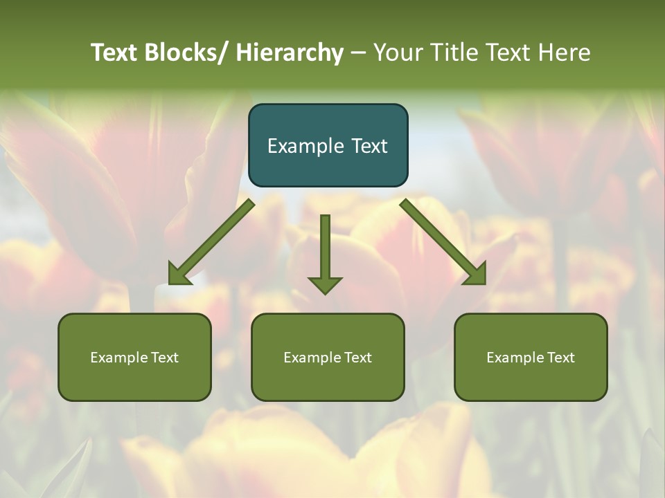 Rays Day Postcard PowerPoint Template