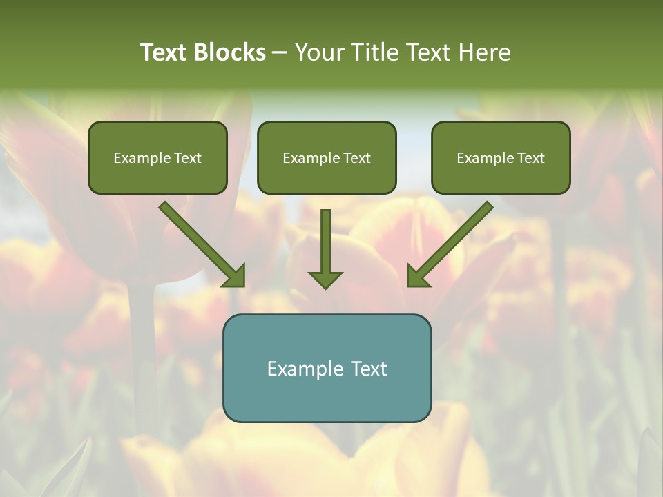 Rays Day Postcard PowerPoint Template