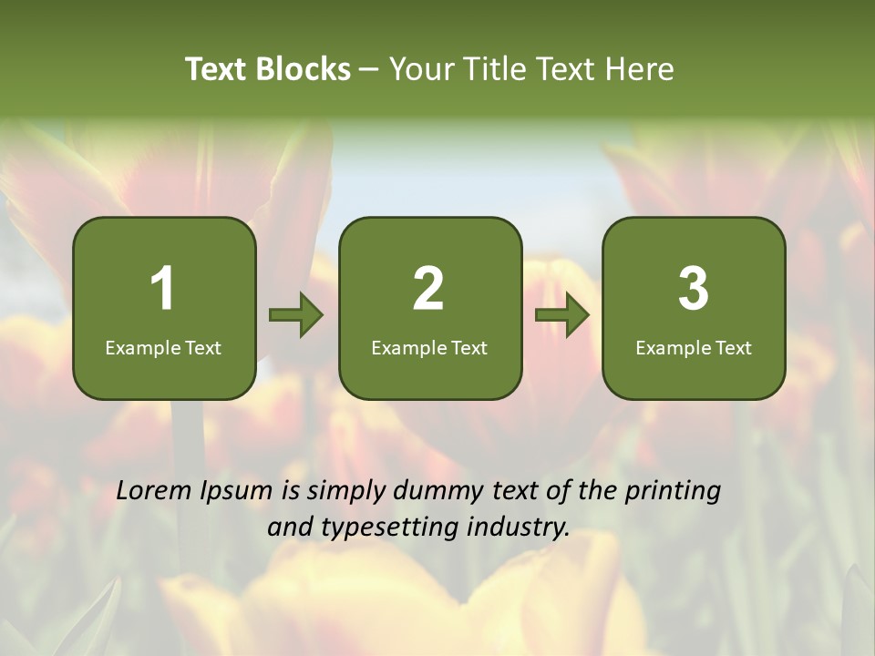 Rays Day Postcard PowerPoint Template