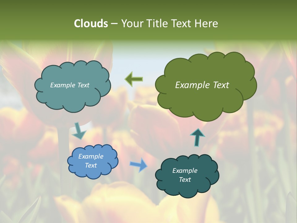 Rays Day Postcard PowerPoint Template