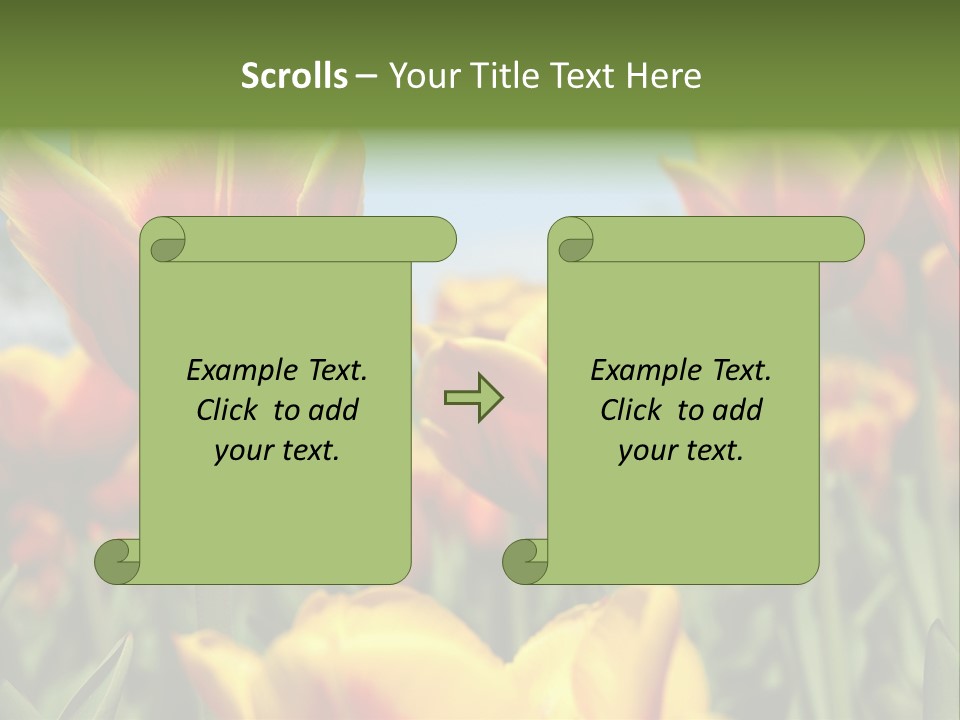 Rays Day Postcard PowerPoint Template