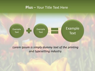 Rays Day Postcard PowerPoint Template