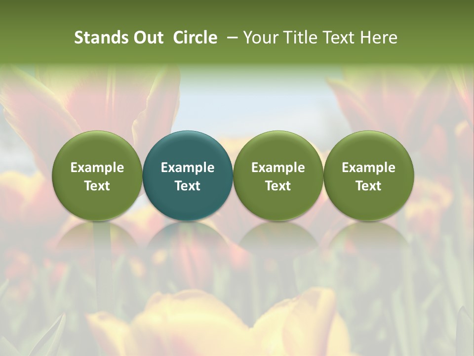 Rays Day Postcard PowerPoint Template