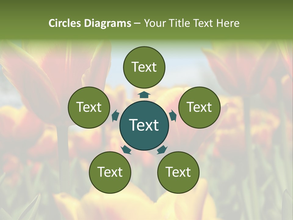 Rays Day Postcard PowerPoint Template