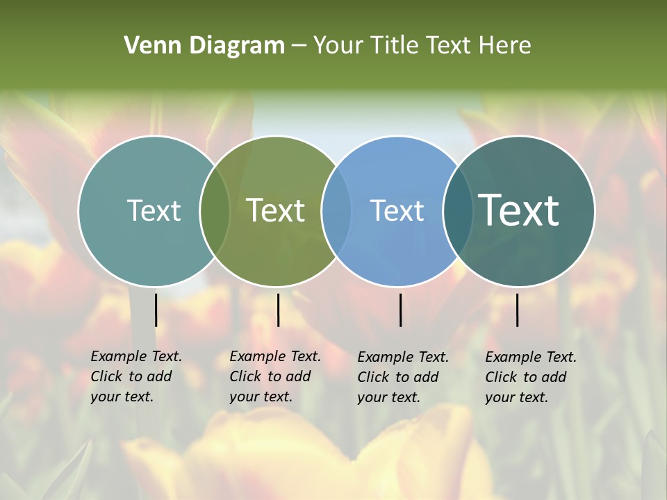 Rays Day Postcard PowerPoint Template