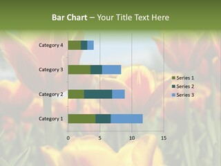 Rays Day Postcard PowerPoint Template