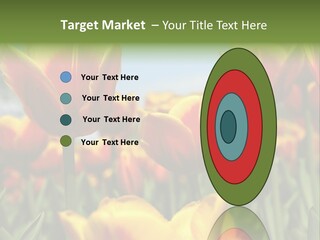 Rays Day Postcard PowerPoint Template