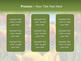 Rays Day Postcard PowerPoint Template