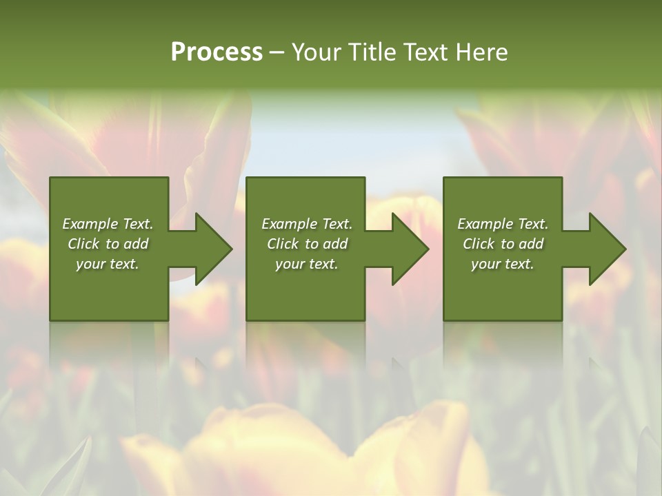 Rays Day Postcard PowerPoint Template