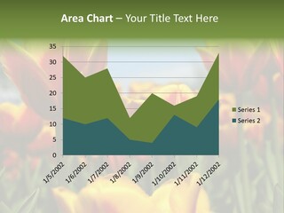 Rays Day Postcard PowerPoint Template