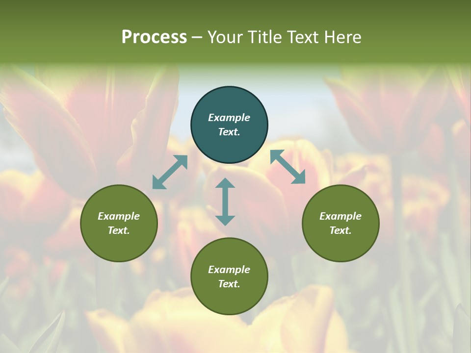 Rays Day Postcard PowerPoint Template