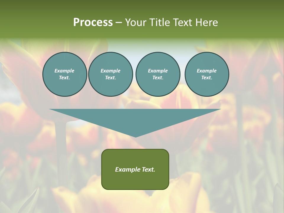 Rays Day Postcard PowerPoint Template