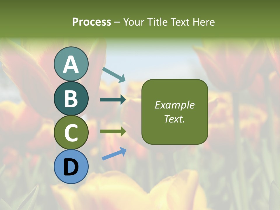 Rays Day Postcard PowerPoint Template