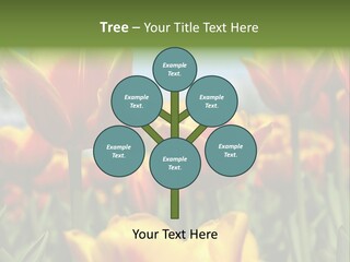 Rays Day Postcard PowerPoint Template