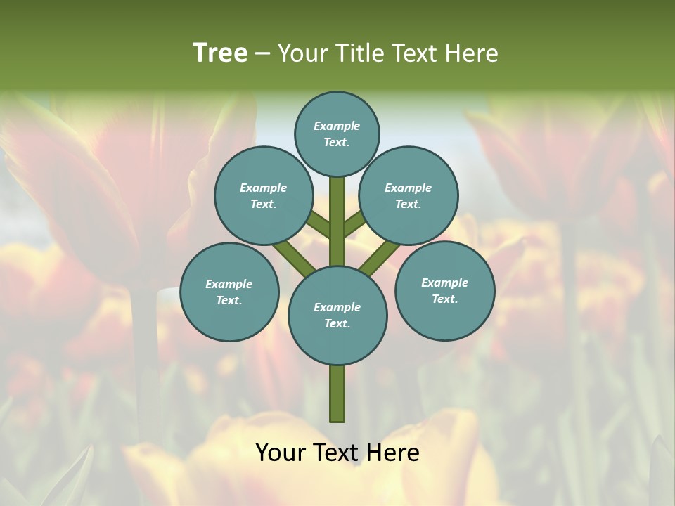 Rays Day Postcard PowerPoint Template