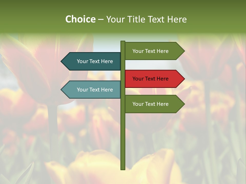 Rays Day Postcard PowerPoint Template