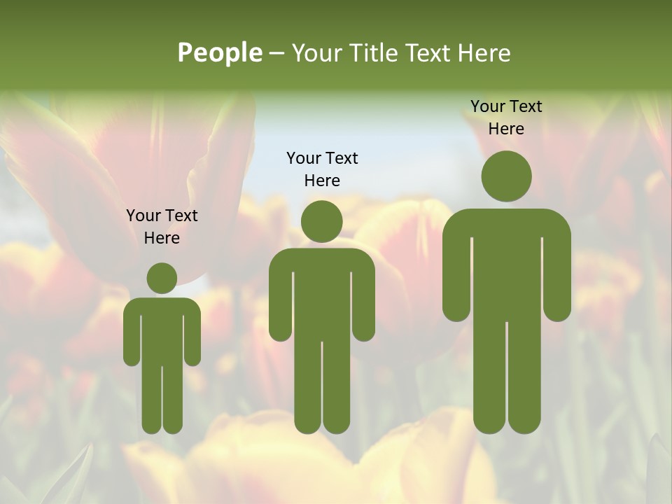 Rays Day Postcard PowerPoint Template