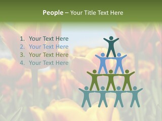 Rays Day Postcard PowerPoint Template