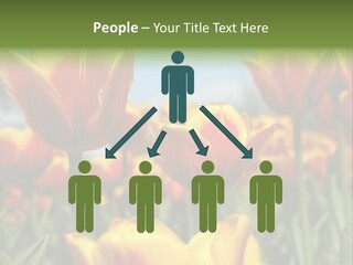 Rays Day Postcard PowerPoint Template