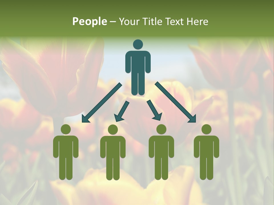 Rays Day Postcard PowerPoint Template