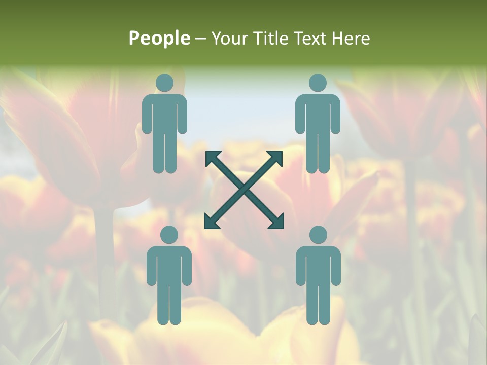 Rays Day Postcard PowerPoint Template