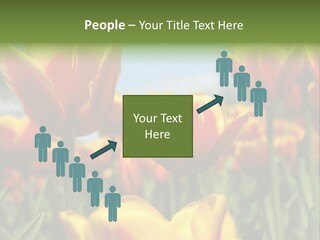 Rays Day Postcard PowerPoint Template