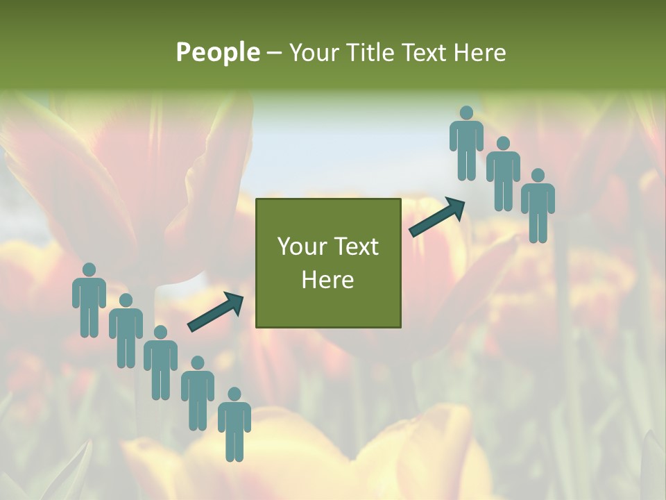 Rays Day Postcard PowerPoint Template