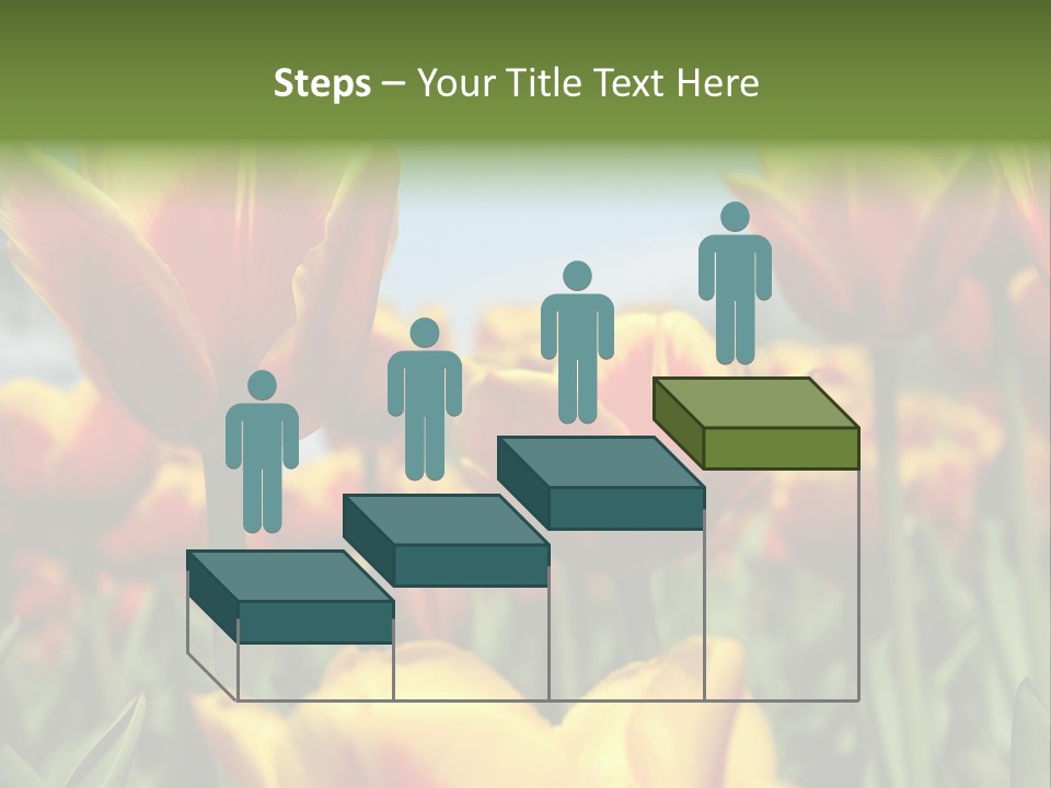 Rays Day Postcard PowerPoint Template