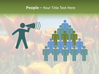 Rays Day Postcard PowerPoint Template