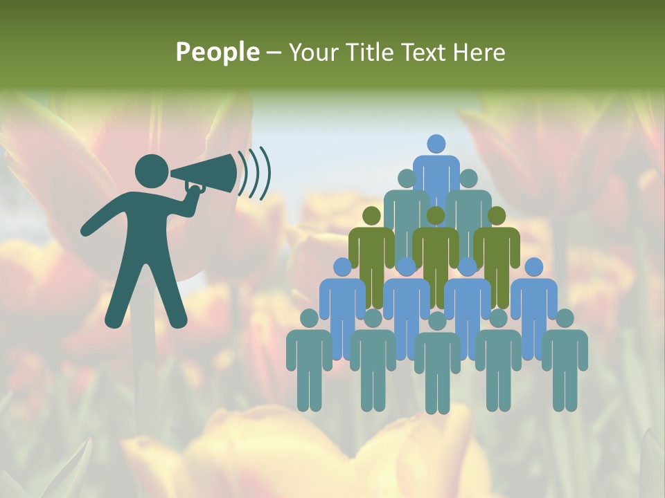 Rays Day Postcard PowerPoint Template