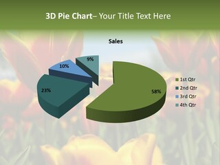 Rays Day Postcard PowerPoint Template