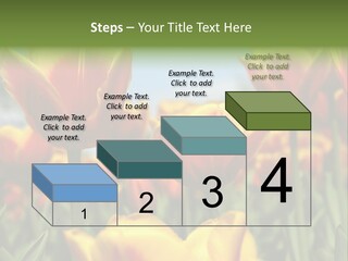 Rays Day Postcard PowerPoint Template