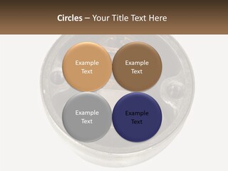 Object Blocked Safeguard PowerPoint Template