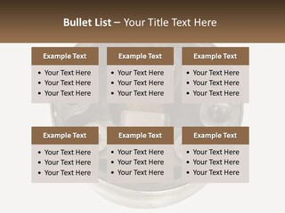 Object Blocked Safeguard PowerPoint Template