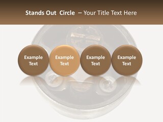 Object Blocked Safeguard PowerPoint Template