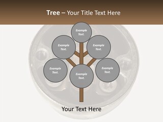 Object Blocked Safeguard PowerPoint Template