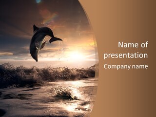 Nature Tail Ocean PowerPoint Template