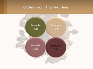 Vegetables Oriental White PowerPoint Template