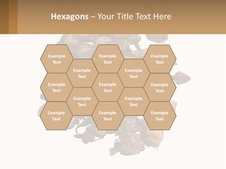 Vegetables Oriental White PowerPoint Template